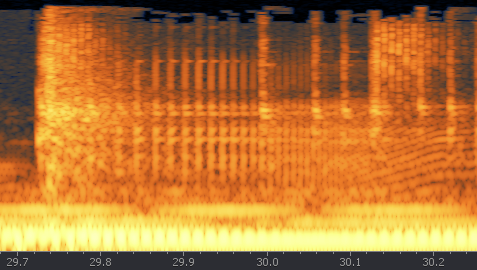 Figure 4 : Exemple de variation de fréquence continue entre 29.8 s et 30.1 s dans « Krib » (Autechre, <em>Cichlisuite</em>, 1997).