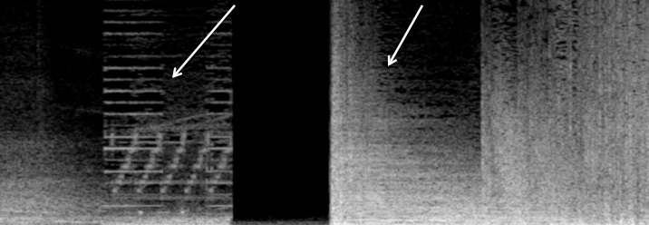 Figure 7 : Sonagramme de 01:00:52 à 01:06:19 à partir du début de la séquence.